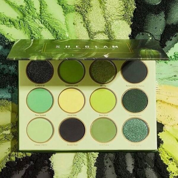 SHEGLAM cactus cool palette
