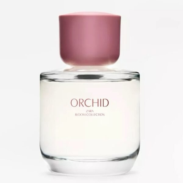 Orchid extra bloom zara