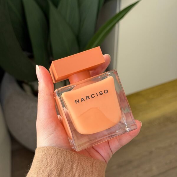 Narciso