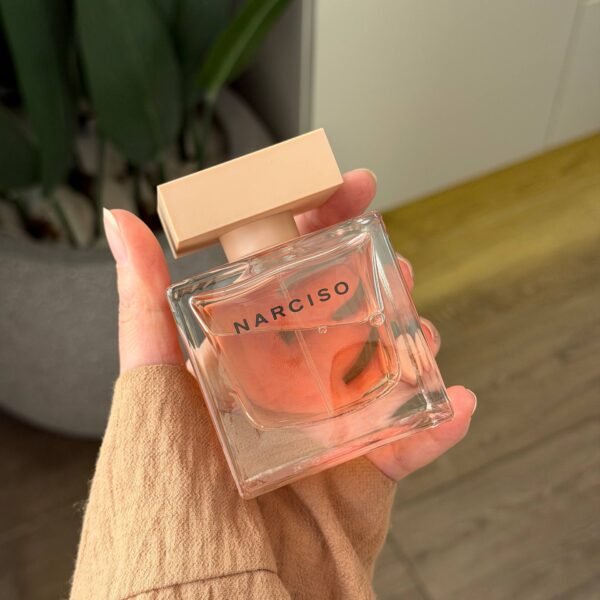 Narciso