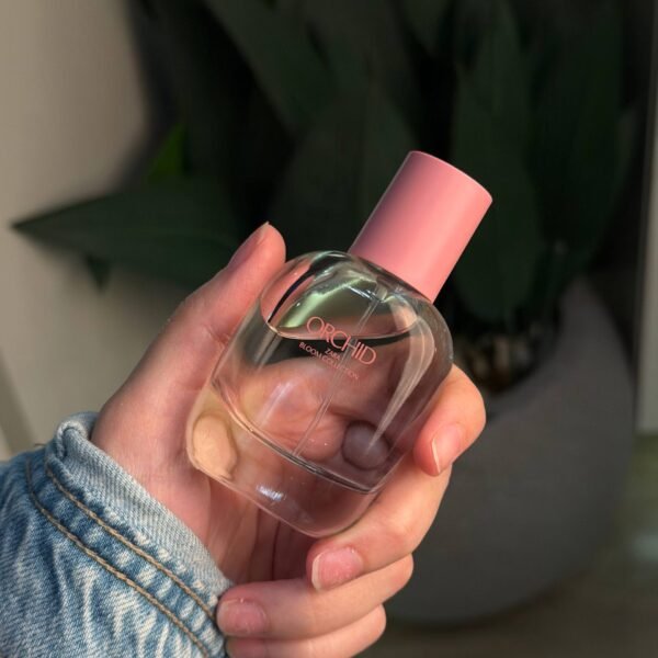 Zara Bloom Collection