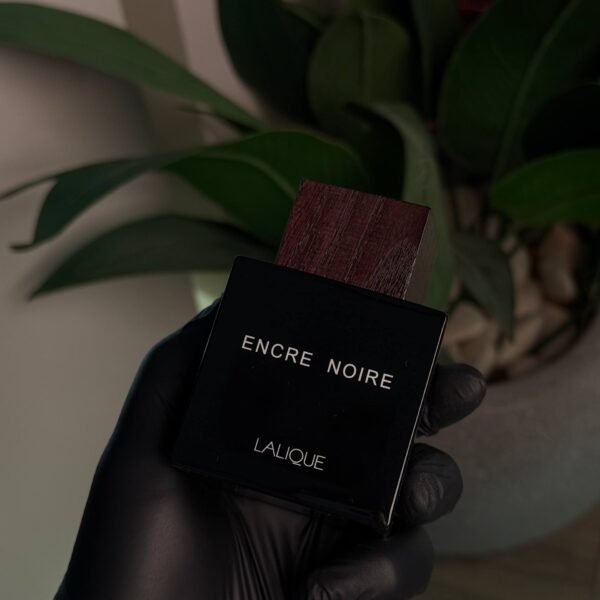 Encre Noire
